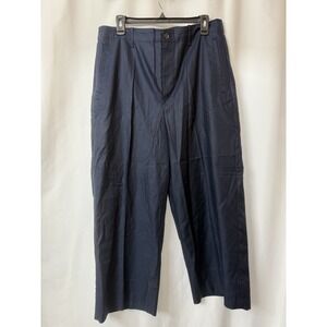 NWT Banana Republic Womens Sz 14 Blue Dress Work Pants L19